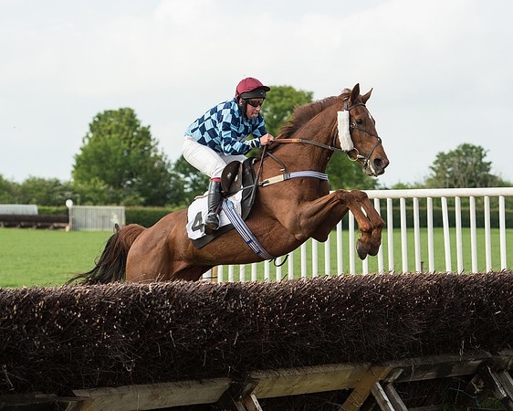 Race 6 - Open Maiden Race (155 of 180).jpg