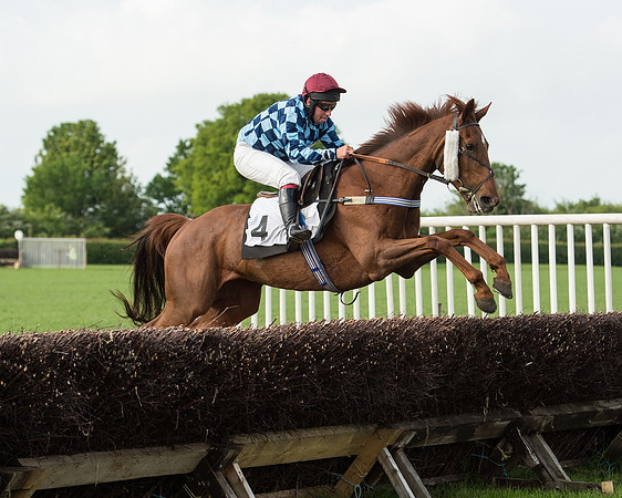 Race 6 - Open Maiden Race (156 of 180).jpg