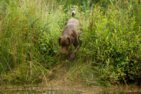 WCGB-04AUG-2013 Water Training Day  15