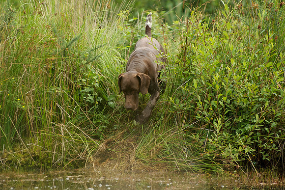 WCGB-04AUG-2013 Water Training Day  15