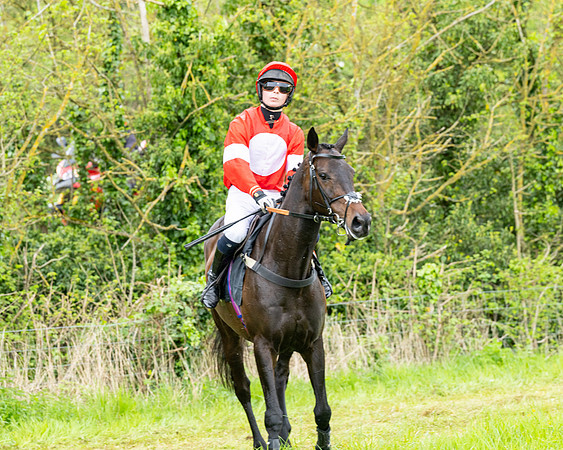 Race 2 - 2M4F Conditions (43 of 195)