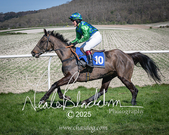 Race 5 - The restricted (23 of 113)