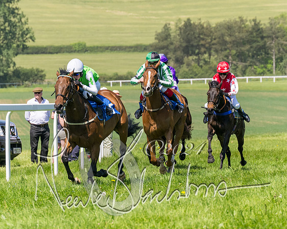 Pony Races  (74 of 141)