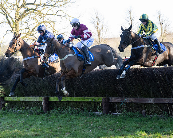 Race 5 - Maiden (55 of 123)