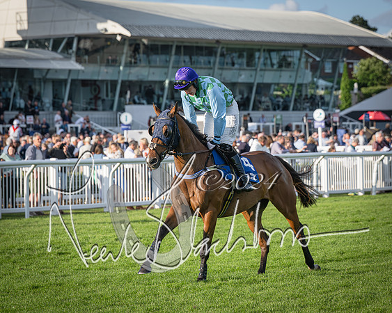 Race 4 - Peretemps Stratford Foxhunters (45 of 168)