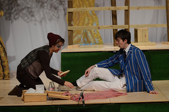 Wind in the Willows Dress 16