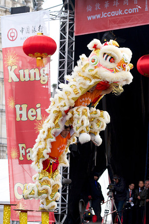 CNY14- 113