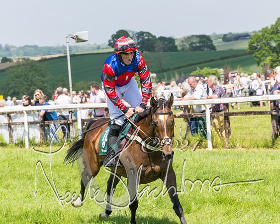 Race 2 - The Maiden  (114 of 442)