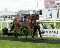 Subaru Rectricted Series Final 2015 (6 of 236).jpg