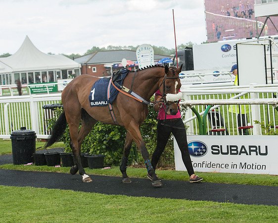Subaru Rectricted Series Final 2015 (6 of 236).jpg