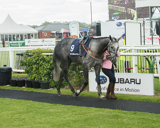 Subaru Rectricted Series Final 2015 (7 of 236).jpg