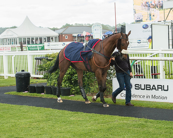 Subaru Rectricted Series Final 2015 (10 of 236).jpg
