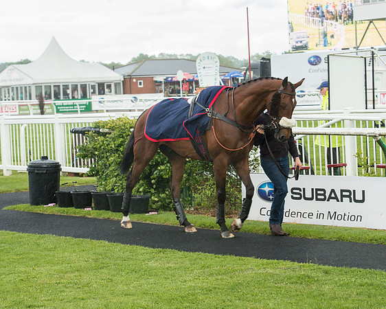Subaru Rectricted Series Final 2015 (11 of 236).jpg