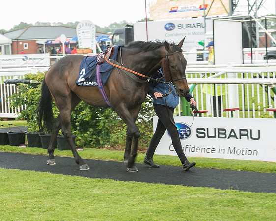 Subaru Rectricted Series Final 2015 (17 of 236).jpg