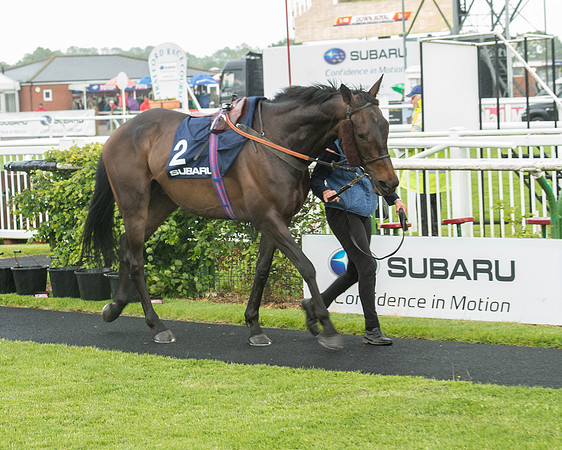 Subaru Rectricted Series Final 2015 (18 of 236).jpg