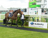 Subaru Rectricted Series Final 2015 (21 of 236).jpg