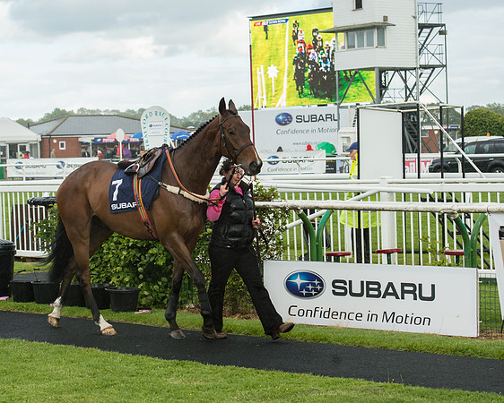 Subaru Rectricted Series Final 2015 (25 of 236).jpg