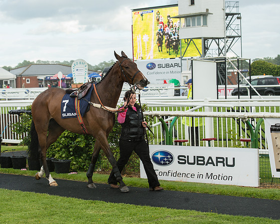 Subaru Rectricted Series Final 2015 (26 of 236).jpg