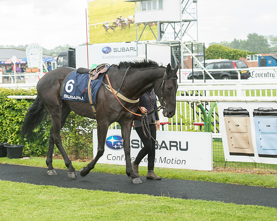 Subaru Rectricted Series Final 2015 (29 of 236).jpg