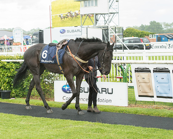 Subaru Rectricted Series Final 2015 (30 of 236).jpg