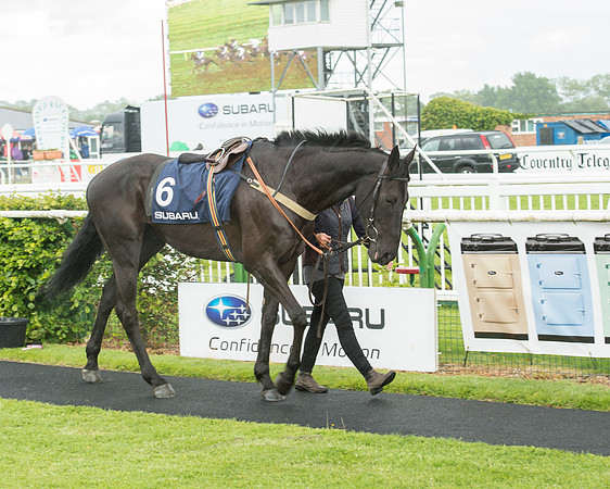 Subaru Rectricted Series Final 2015 (31 of 236).jpg