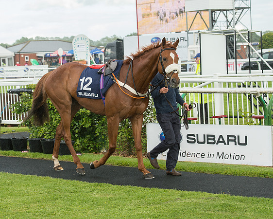 Subaru Rectricted Series Final 2015 (32 of 236).jpg