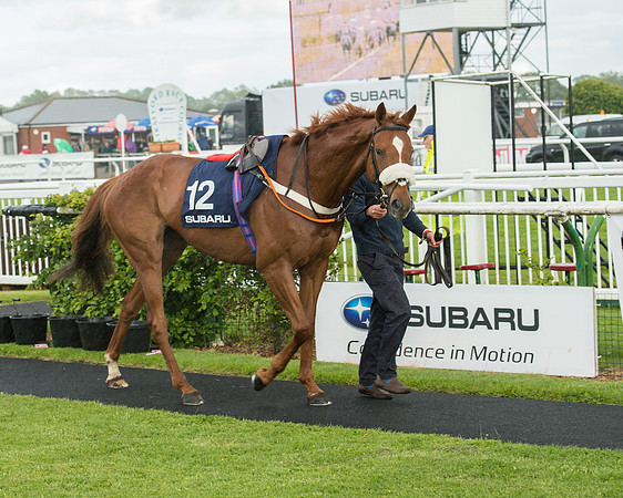 Subaru Rectricted Series Final 2015 (33 of 236).jpg