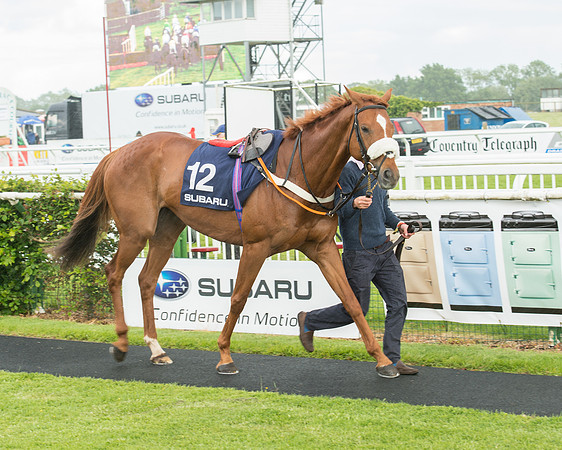 Subaru Rectricted Series Final 2015 (34 of 236).jpg