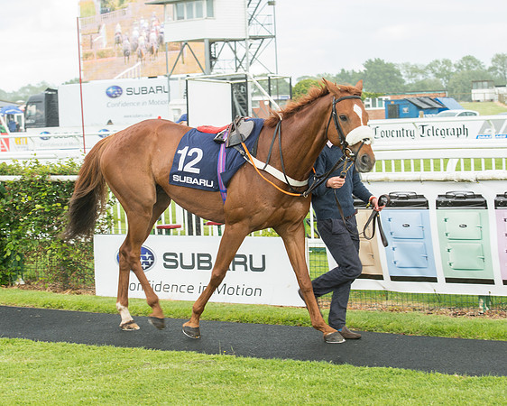Subaru Rectricted Series Final 2015 (35 of 236).jpg