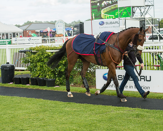 Subaru Rectricted Series Final 2015 (37 of 236).jpg