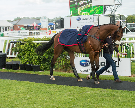 Subaru Rectricted Series Final 2015 (38 of 236).jpg