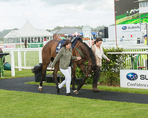 Subaru Rectricted Series Final 2015 (40 of 236).jpg