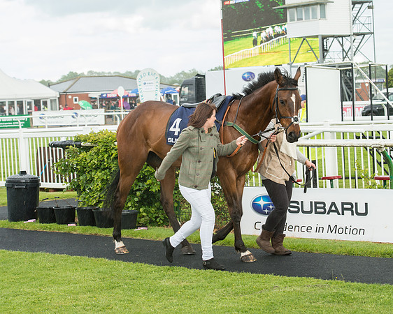 Subaru Rectricted Series Final 2015 (41 of 236).jpg