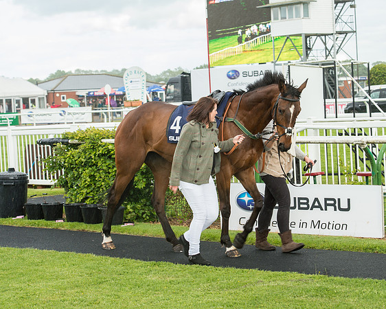 Subaru Rectricted Series Final 2015 (42 of 236).jpg