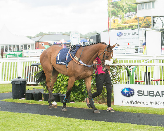 Subaru Rectricted Series Final 2015 (44 of 236).jpg
