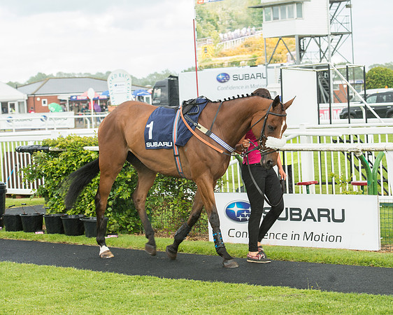 Subaru Rectricted Series Final 2015 (45 of 236).jpg