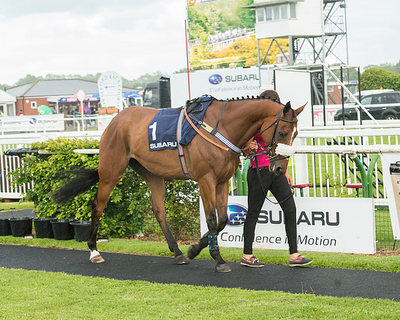 Subaru Rectricted Series Final 2015 (46 of 236).jpg