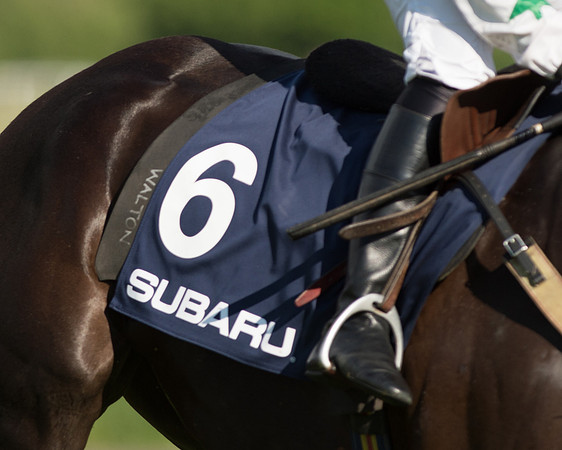 Subaru Rectricted Series Final 2015 (104 of 236).jpg