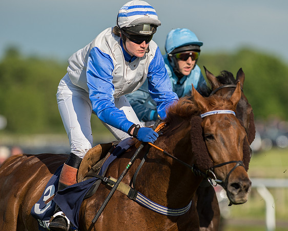 Subaru Rectricted Series Final 2015 (105 of 236).jpg