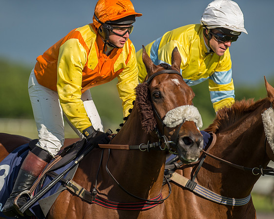 Subaru Rectricted Series Final 2015 (108 of 236).jpg