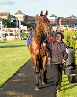 Pretemps Stratford Foxhunters  (5 of 194).jpg