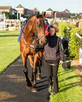Pretemps Stratford Foxhunters  (6 of 194).jpg