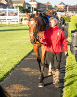 Pretemps Stratford Foxhunters  (8 of 194).jpg