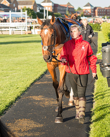 Pretemps Stratford Foxhunters  (8 of 194).jpg
