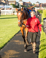 Pretemps Stratford Foxhunters  (9 of 194).jpg