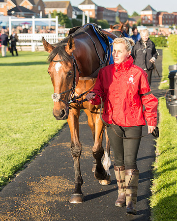Pretemps Stratford Foxhunters  (10 of 194).jpg
