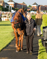 Pretemps Stratford Foxhunters  (11 of 194).jpg