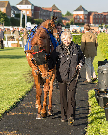 Pretemps Stratford Foxhunters  (11 of 194).jpg