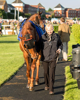 Pretemps Stratford Foxhunters  (12 of 194).jpg
