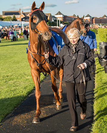 Pretemps Stratford Foxhunters  (13 of 194).jpg